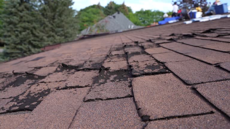 Roof Insulation in Gosnell, AR